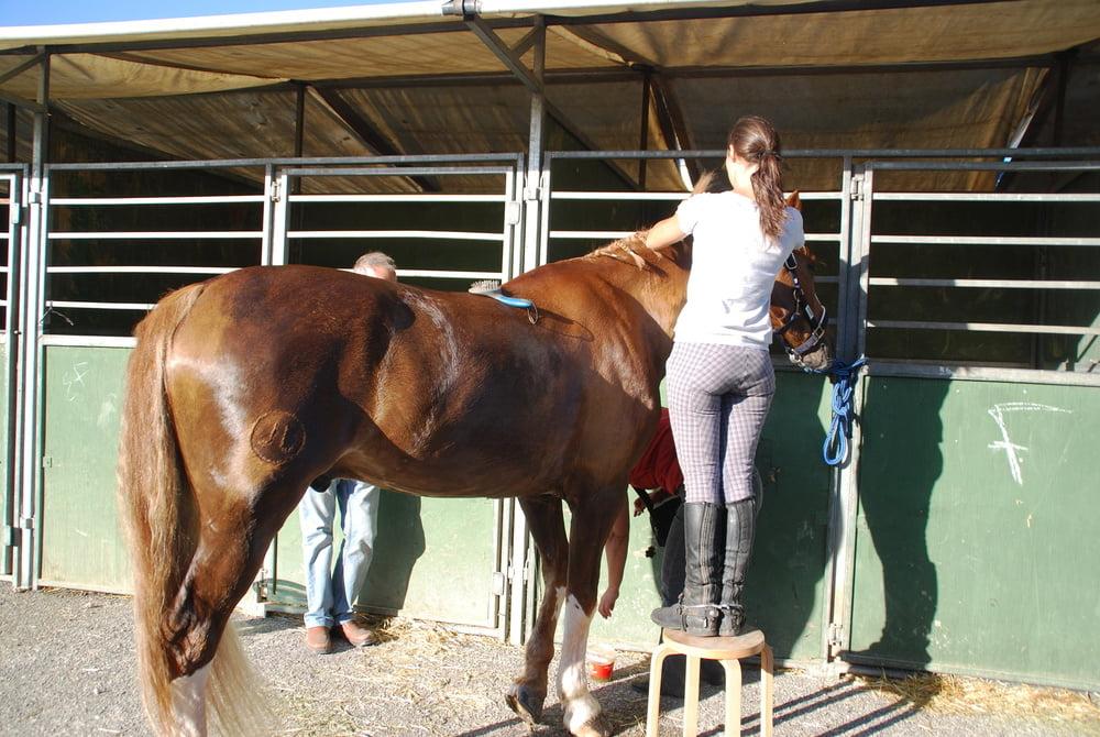 25P girls in jodhpurs 3