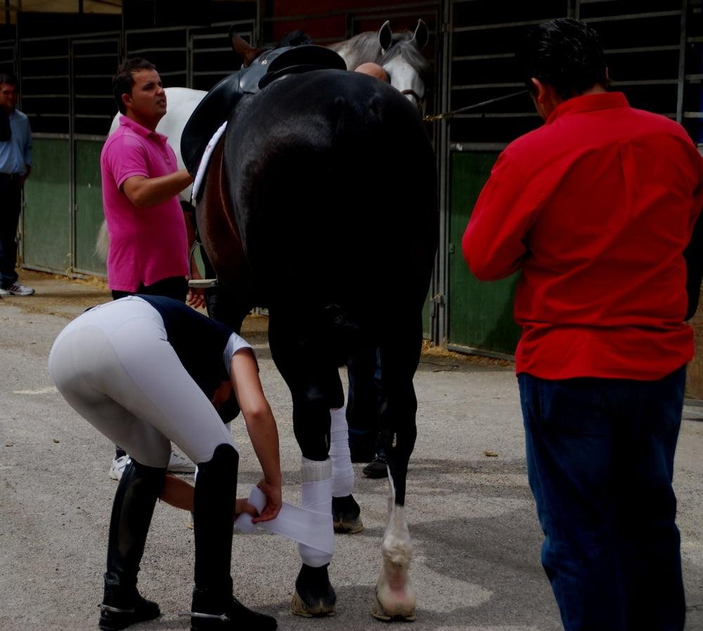 25P girls in jodhpurs 3