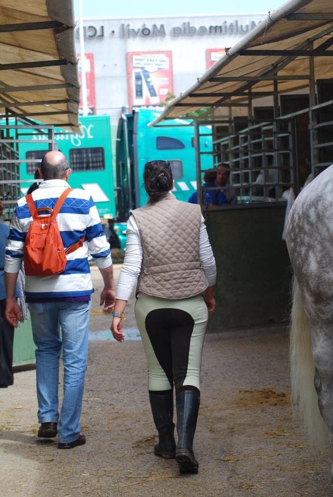25P girls in jodhpurs 3
