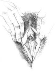 24P Art sex