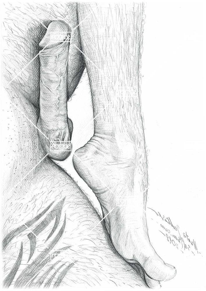 24P Art sex