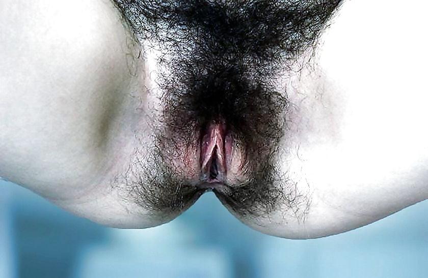 25P Nice Hairy Girls