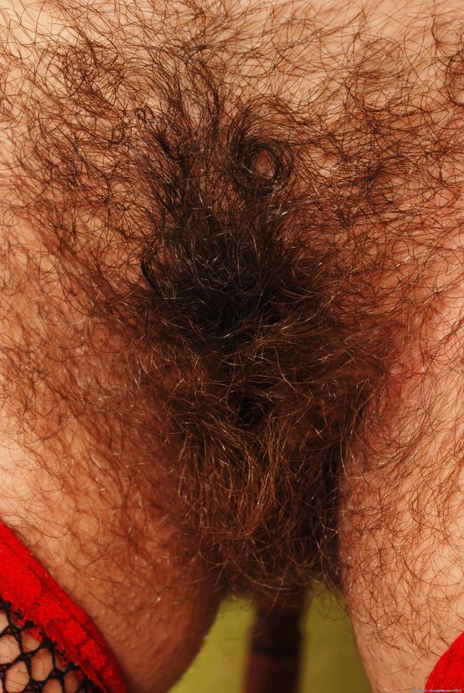 25P Nice Hairy Girls