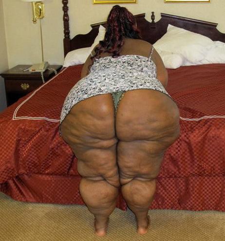 25P Huge Fat Asses 48