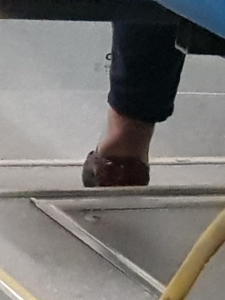 25P Capture nylon  Feet of fat mature latin woman