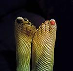 25P THE FETISH FOR TRANNY ASS AND FEET EDTION 2 NASTY FUCKERS
