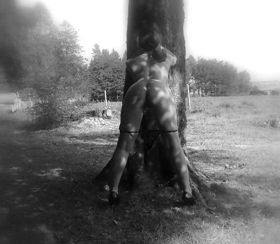 25P Nude Art