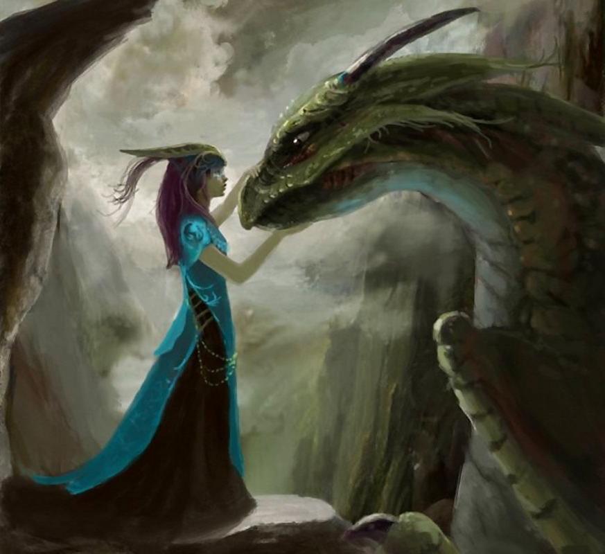 8P Dragon Art 2