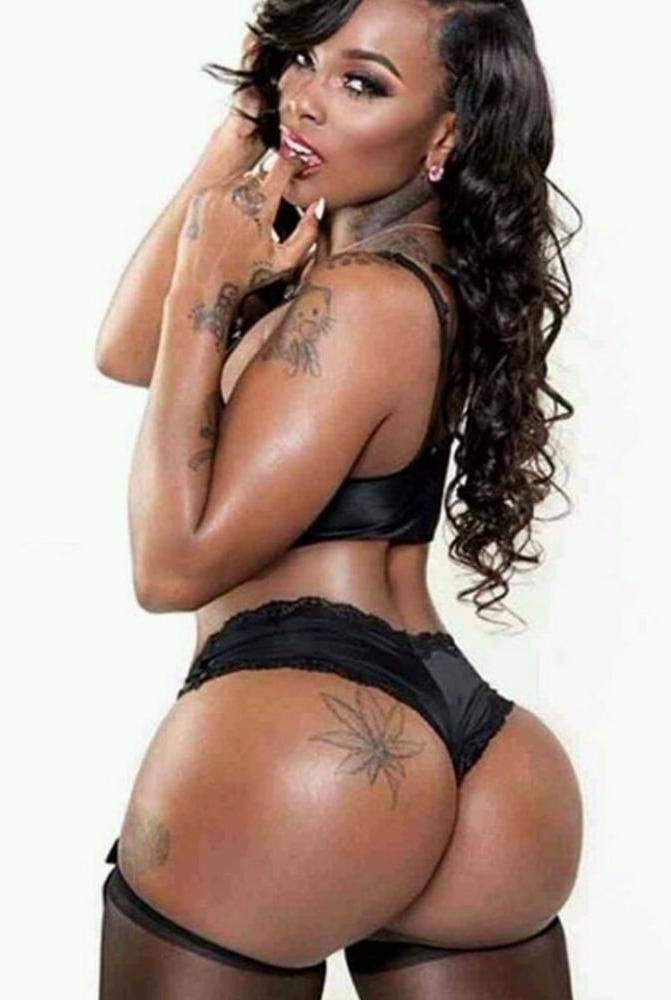19P The Jungle's Finest Breeds 793