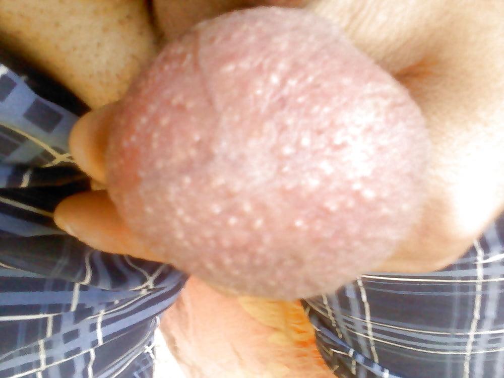 19P aj lajk piss
