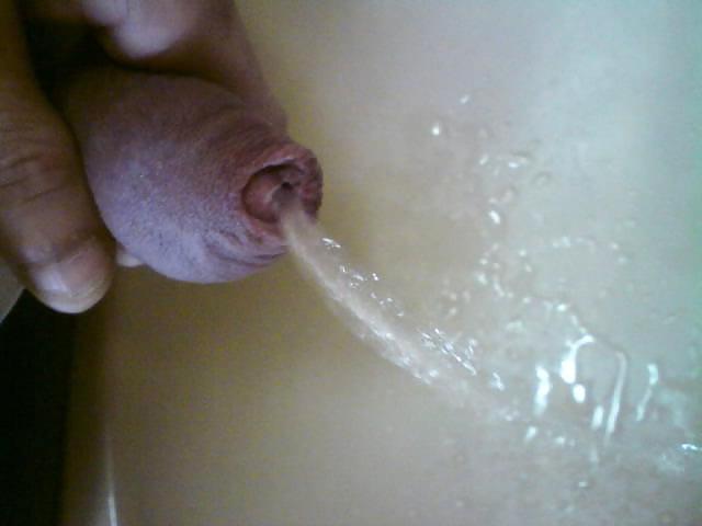 19P aj lajk piss