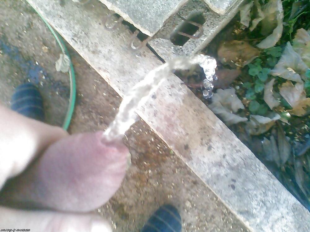 19P aj lajk piss