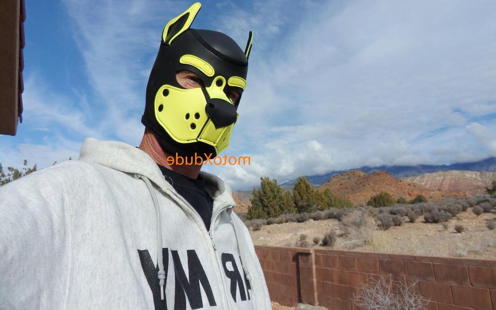 25P Latex Hoods Fun Stuff