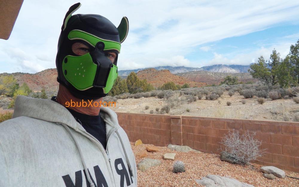 25P Latex Hoods Fun Stuff