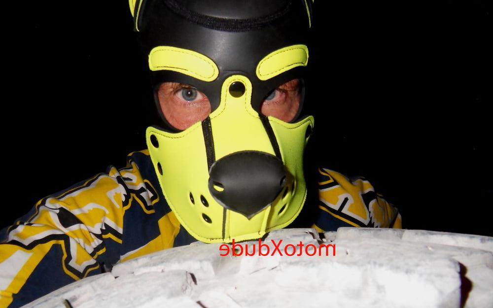 25P Latex Hoods Fun Stuff