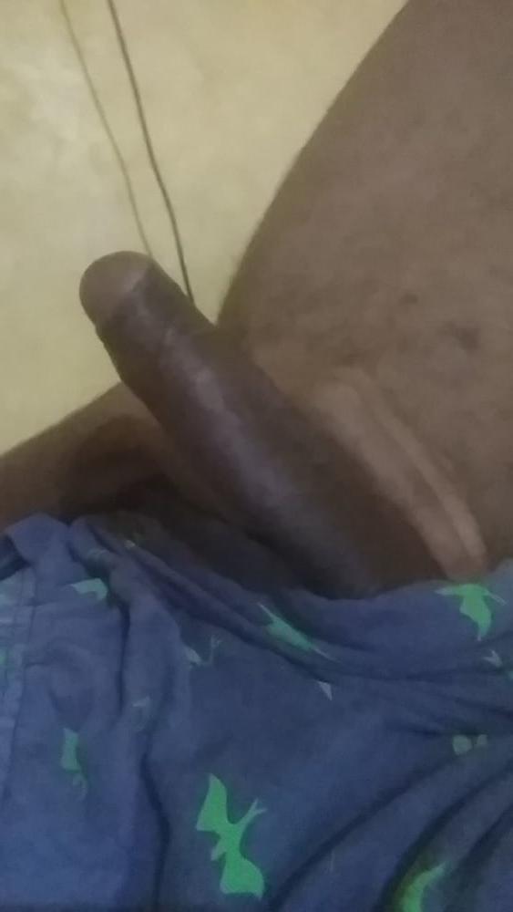 4P The real big black bull