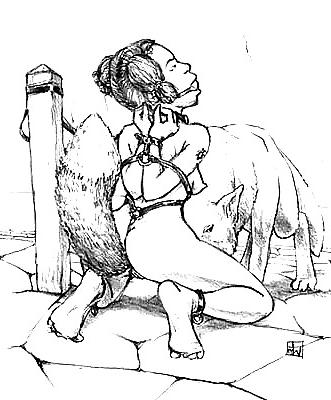 15P ART PET