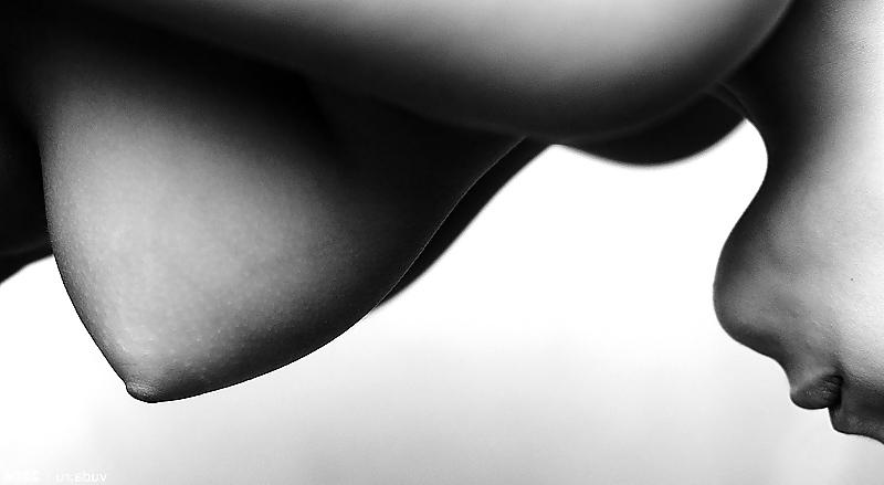 25P Beautiful Nude Art