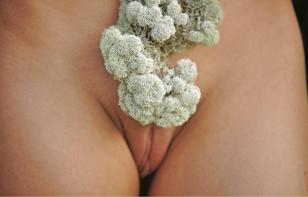 24P Art of Pussy