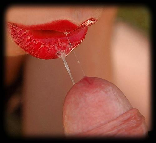 23P Artistic blowjob