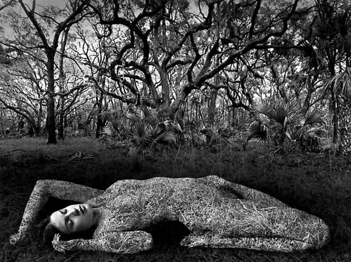 24P Art B&W gallery 2