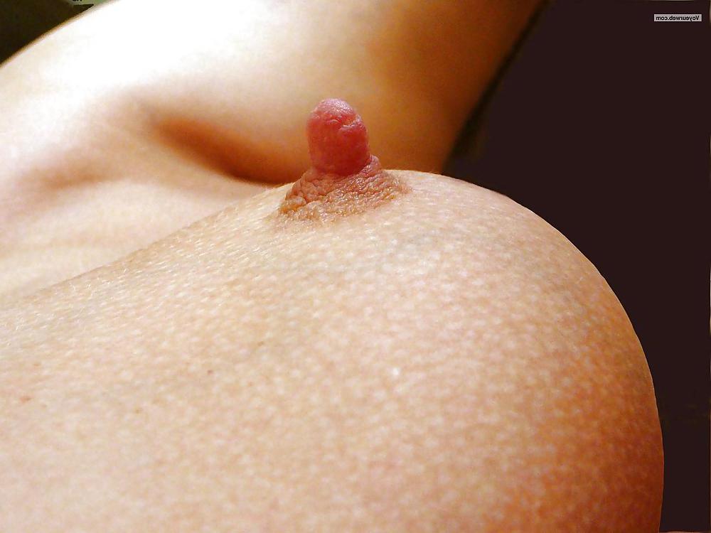 25P The stunning female breast