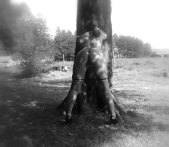 18P Pictures can be art.