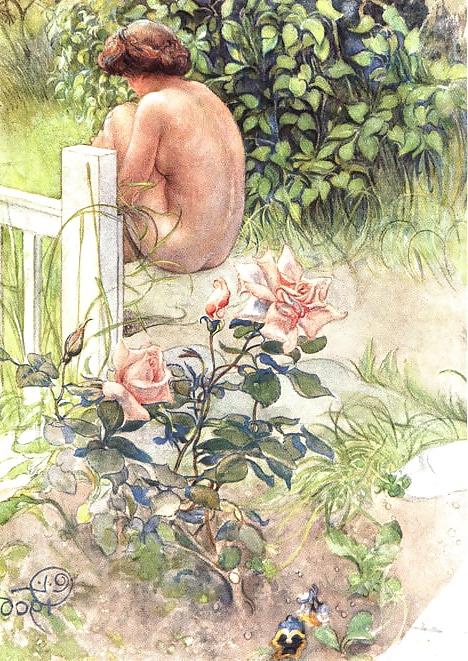 25P Painted EroPorn Art 68 - Carl Larsson 2