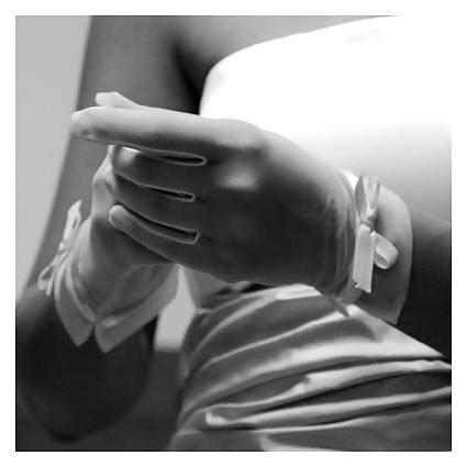 18P Gloves