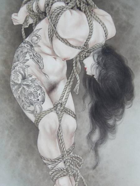 20P Art of bondage...