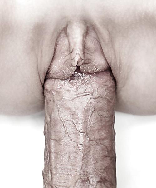 25P Art of Sex