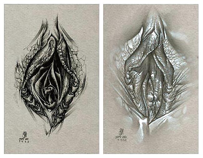 25P Gender Art 1 - Vulva (1)