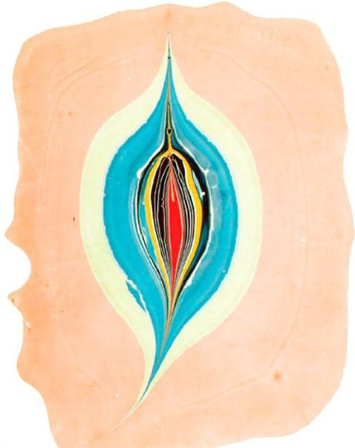 25P Gender Art 1 - Vulva (1)