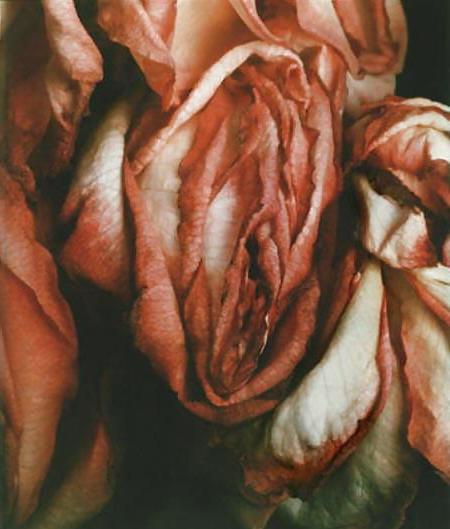 25P Gender Art 1 - Vulva (1)