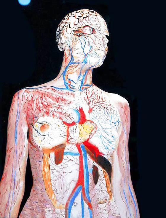 25P Erotic Body Art 1 - Body Painting 1