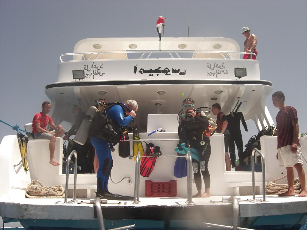 16P Diving