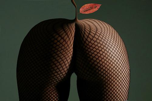 25P Art Pleasure Fetish