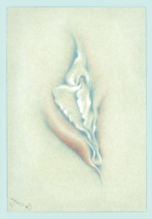 25P Gender Art 3 - Vulva (3)