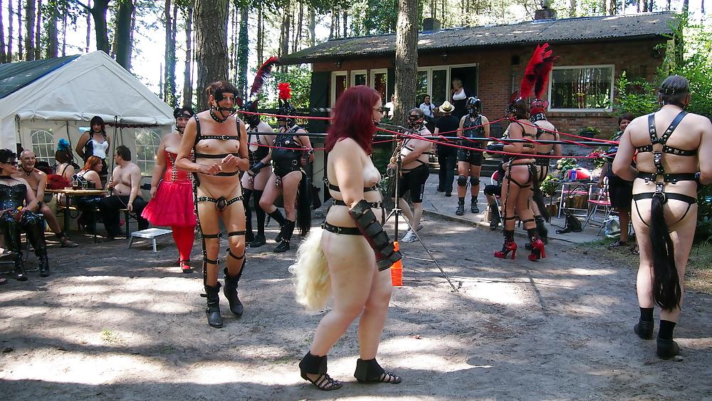 4P Human Pony play