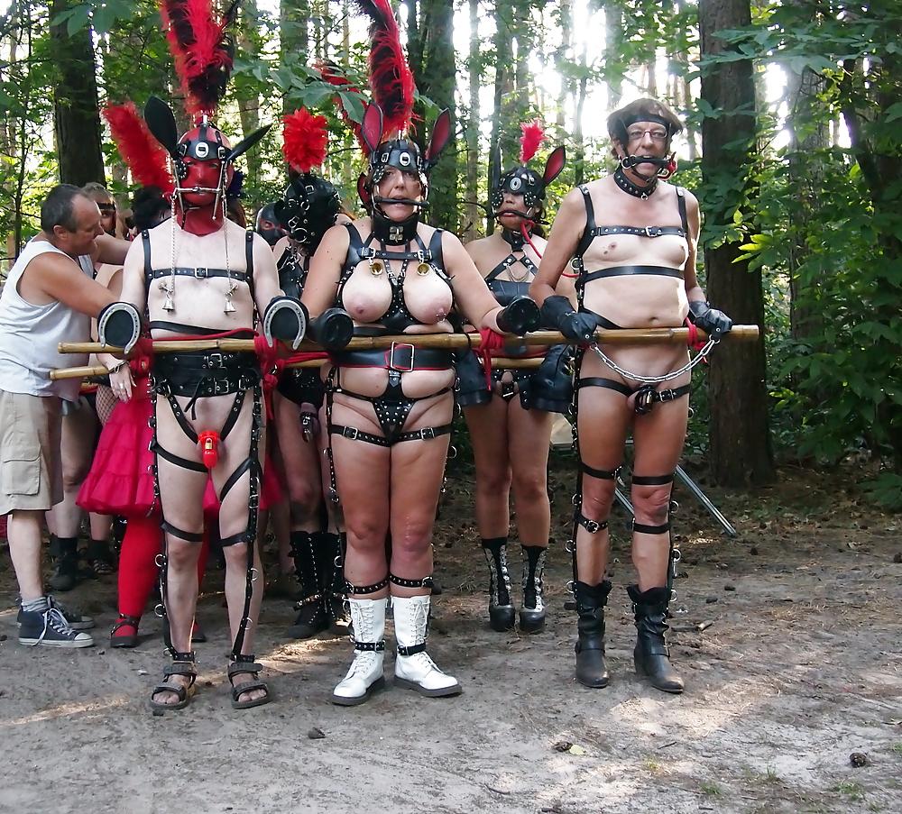 4P Human Pony play
