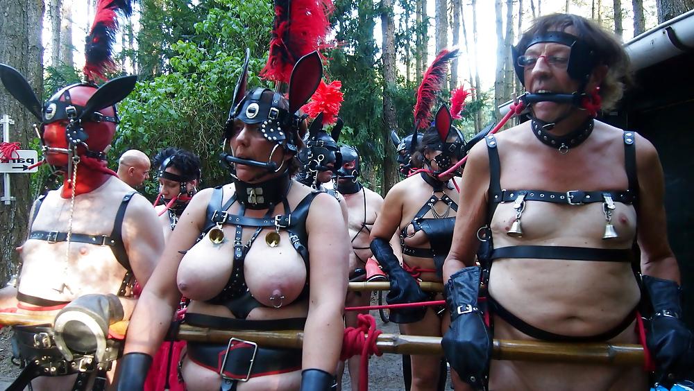 4P Human Pony play