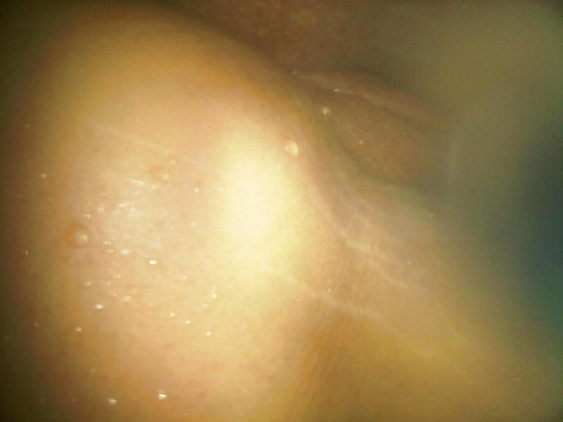 5P Chubby Amateur Slut from Tennessee