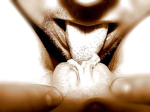 25P ART of sex