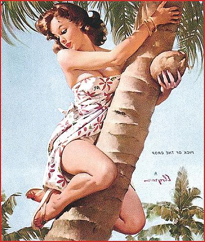 25P Vintage Pin Up Art