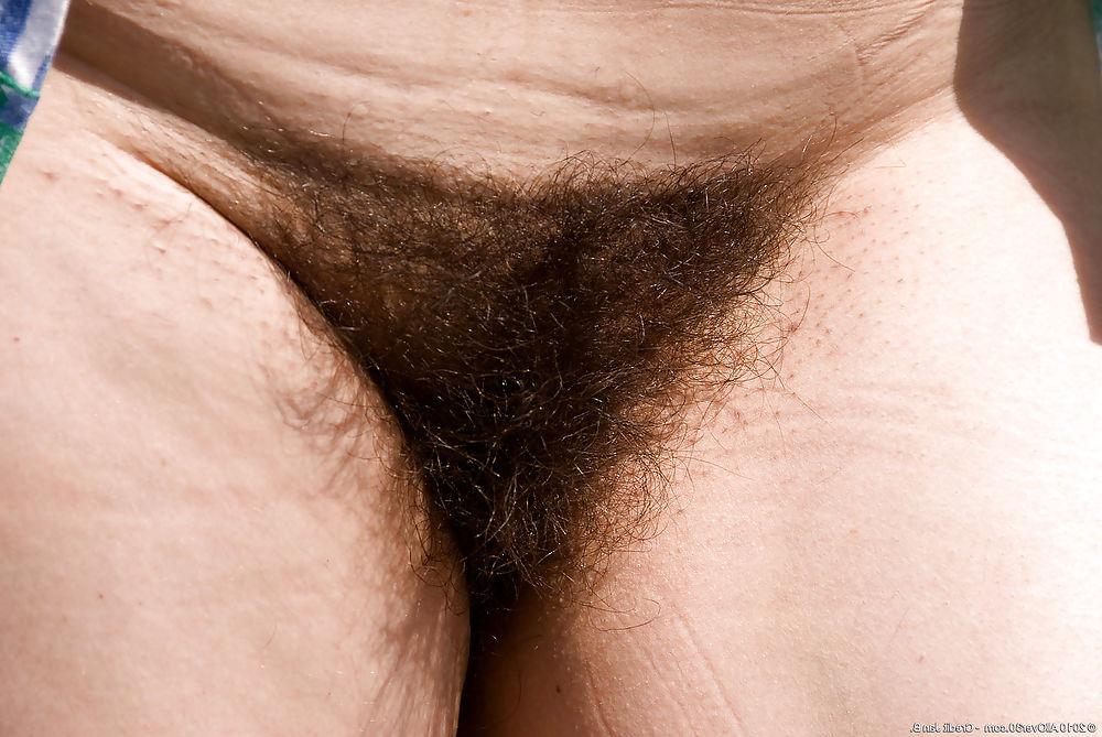 11P Hairy pussy bitch