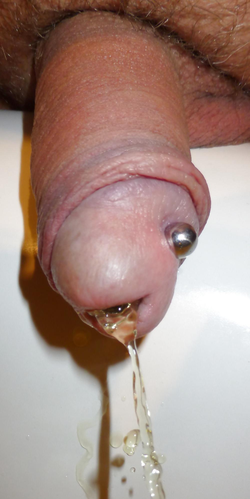 16P Splitties art of piss