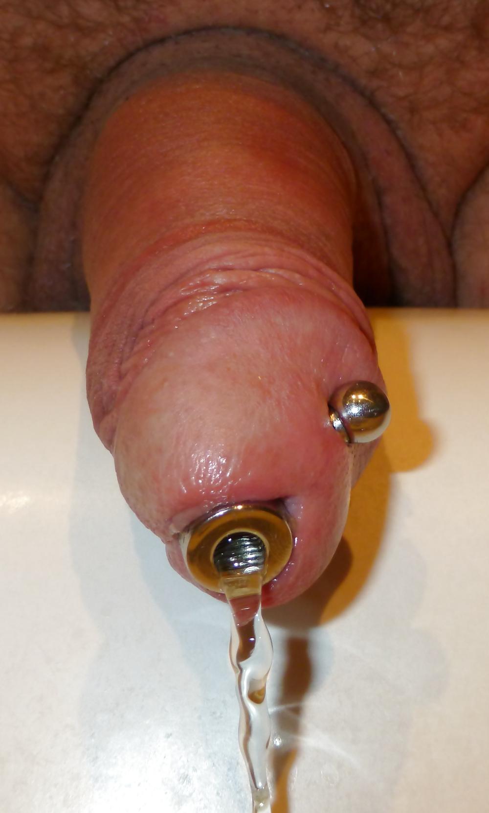 16P Splitties art of piss
