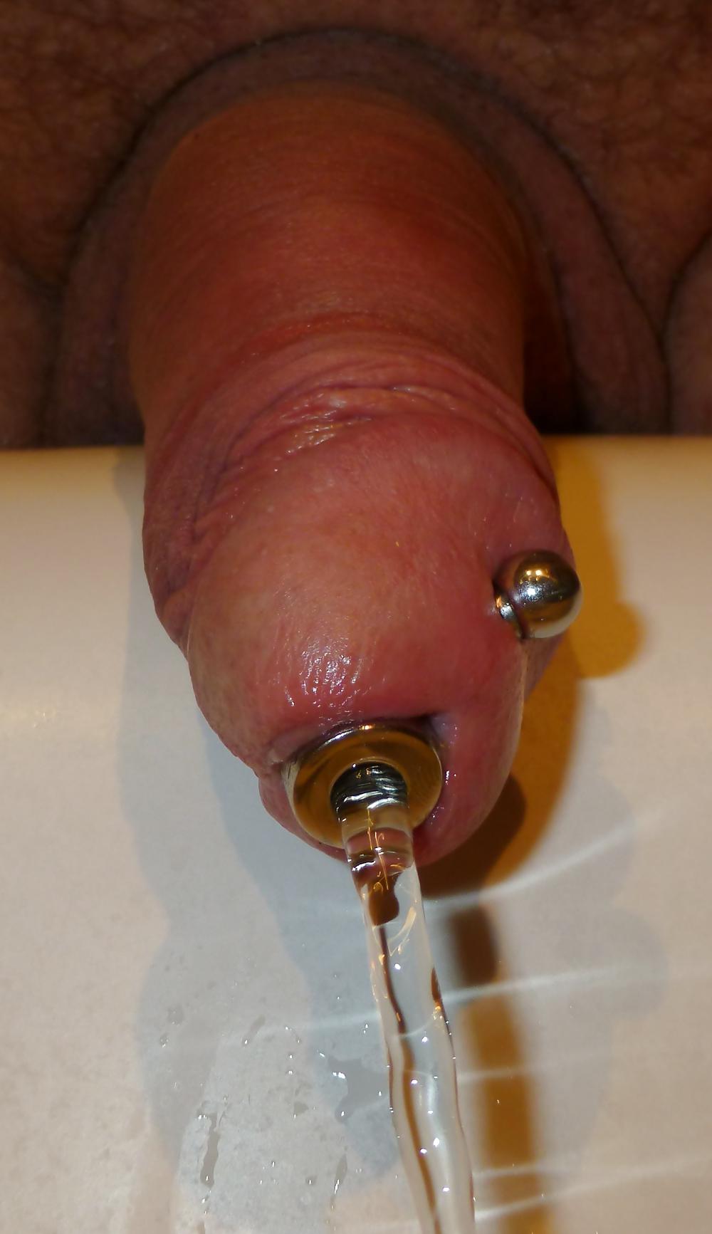 16P Splitties art of piss