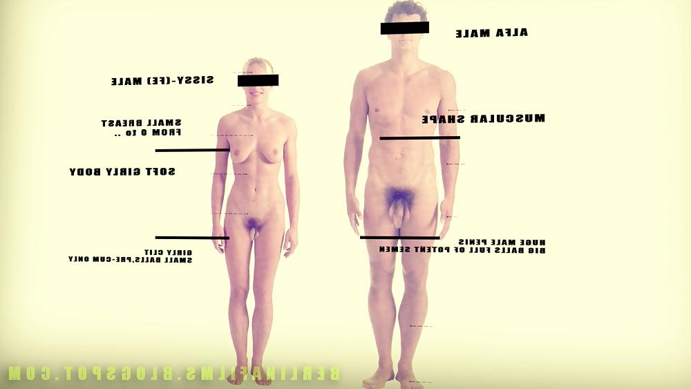 14P Shemale Aanatomy(Some kind of sissy-trainer)