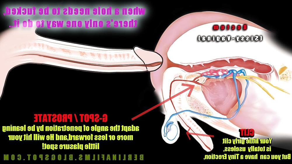 14P Shemale Aanatomy(Some kind of sissy-trainer)